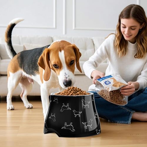 Elevated Dog Bowls with Stainless Steel Bowl (Black / M/2 Cups)