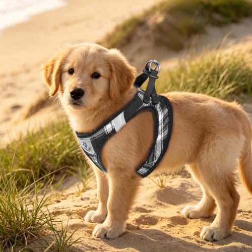 Dog Harness Collar and Leash Set No Pull for Small Medium Sized (Black / XXS (CHEST 11.5"-13"))