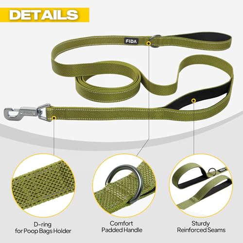 10 FT Heavy Duty Dog Leash (10 Feet (Pack of 1) / Green)