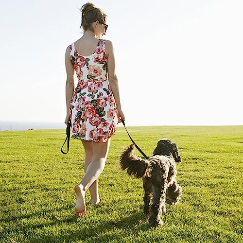 Leather Dog Leash 6 ft x 1 (6 ft x 1/2 inch / Brown)