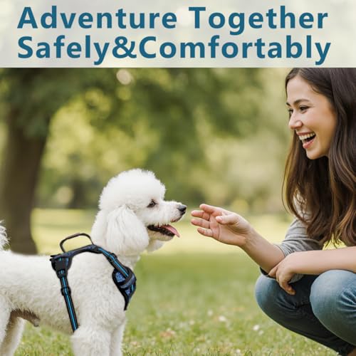 Dog Harness No Pull with ID Tag Pocket (Small(Chest:19.5-26”) / Blue/Black)