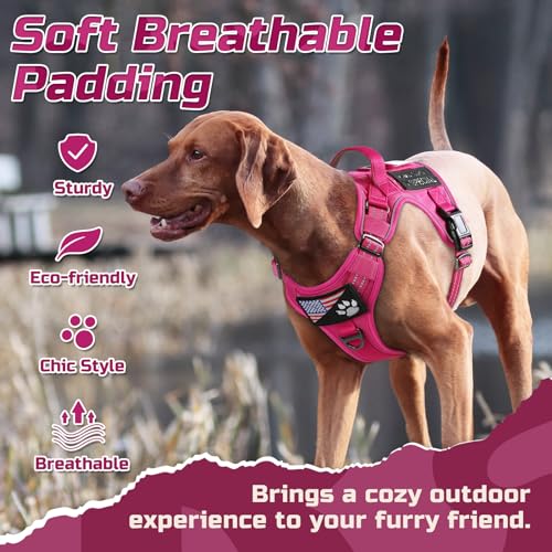 Tactical Dog Harness for Medium (Rose Red / Medium)