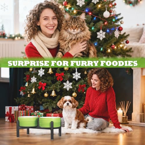 Ceramic Elevated Dog Bowl Set (Thread green / 3.5 Cups)