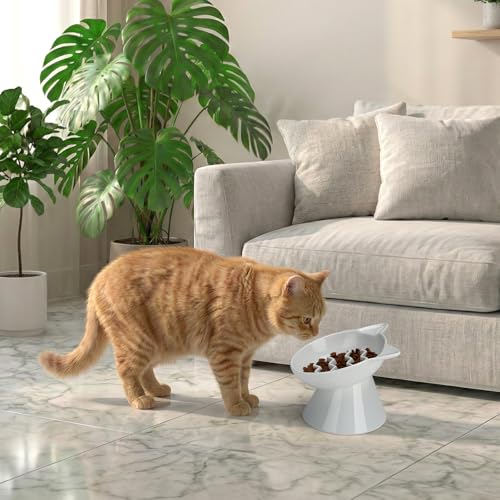 Ceramic Slow Feeder Cat Bowl (White-Cute kitten / 2 Cups)
