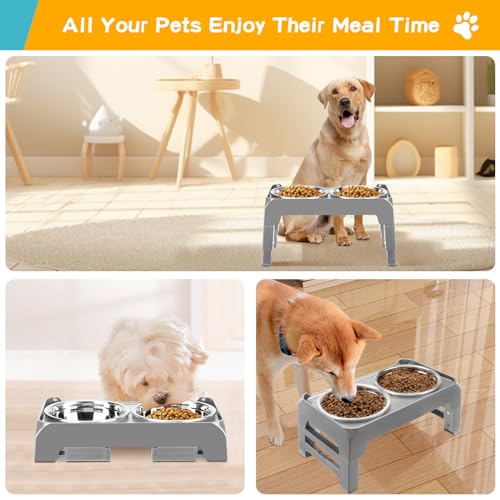 Elevated Dog Bowls for Small Medium Dogs (Grey / 6" for Small Dogs)