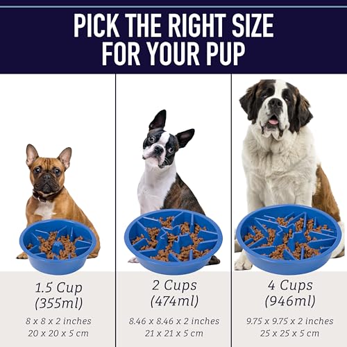 2 Pack Slow Feeder Dog Bowls (2 Cup / Gray Bundle)