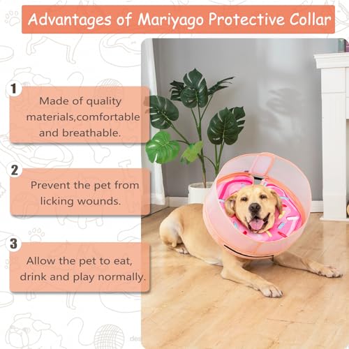 Inflatable Dog Cone Collar with Enhanced Anti (Large / Donut Pink2)