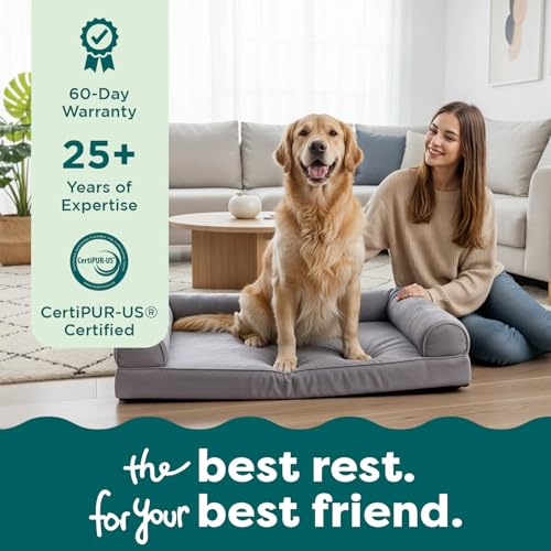 Orthopedic Dog Bed For Large Dogs (Jumbo Plus / Charcoal)
