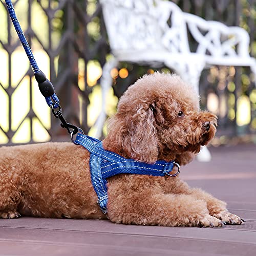No Pull Dog Harness for Small Dogs (S: chest 17"-19.7" / Navy Blue)