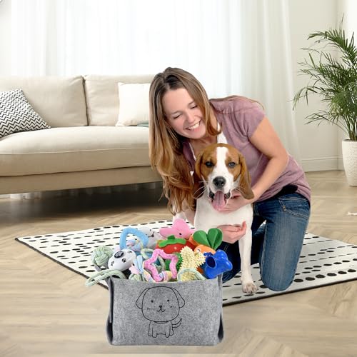 24 Pack Puppy Chew Toys (24pack)