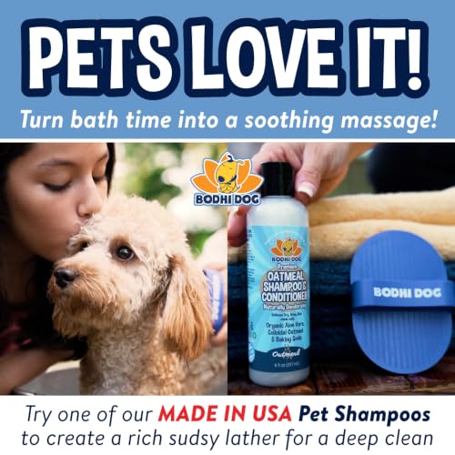 Shampoo Brush (2 Pack / Blue)