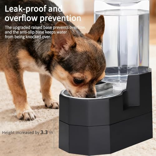 7L Raised Dog Water Dispenser (Black / 7L Raised)