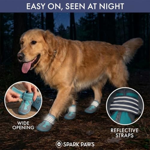 365 Dog Shoes (365 Teal / Size 5: 2.4"x2.76"(W*L) (Pack of 4))