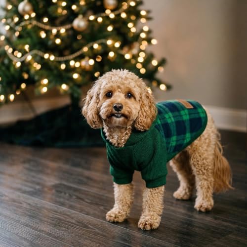 Tartan Plaid Dog Hoodie (X-Large / Green)
