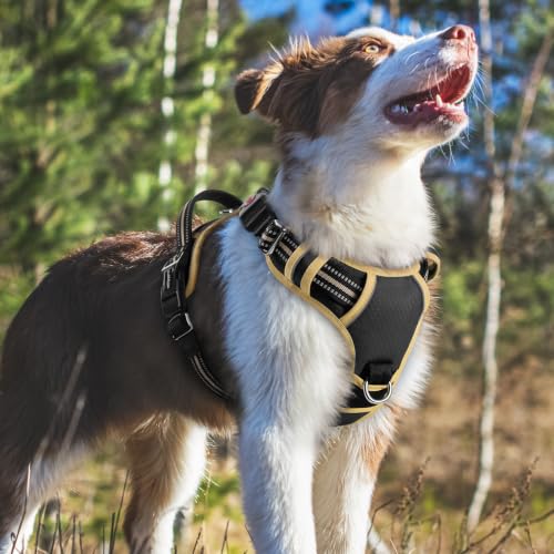 Dog Harness Medium Sized (Black & Khaki / Medium)