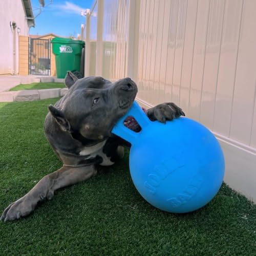 Tug-n-Toss Heavy Duty Dog Toy Ball with Handle, 8 Inches/Large, Blueberry (Blueberry / Large (8 in))