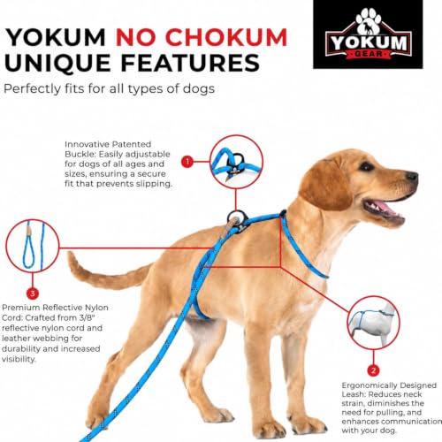 Yokum No Chokum 12ft No Pull No Choke Dog Leash (12 Ft / TEAL)