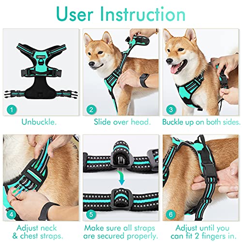 Dog Harness No Pull for Large Dogs with 2 Leash Clips (Large / Turquoise)