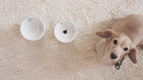 Necoichi Raised Dog Food Bowl (Regular)