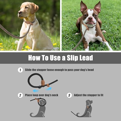 Heavy Duty Slip Lead No Pull Leash w Leather (Camel / 6 Feet)