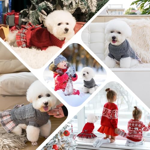 Small Dog Sweater Dress with Bowtie Turtleneck (X-Small (2-5lbs) / Red)