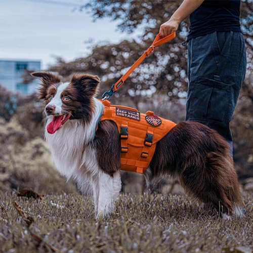 Short Traffic Dog Leash for Small Medium Large Dogs (S / Orange)