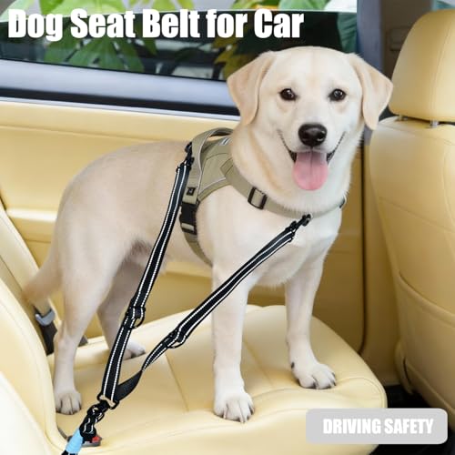 Two Point Control & Hands Free Dog Leash No Pull Black Large Dogs (Black / 5.3FT)