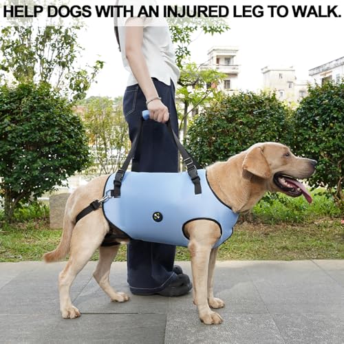 Dog Lift Harness (Medium / Blue)