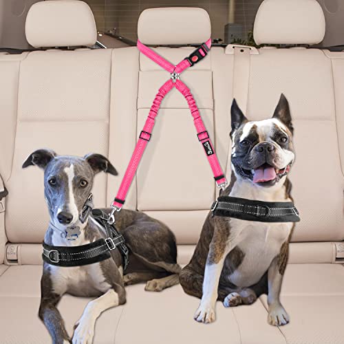 Double Dog Car Seat Belt (Fluorescent Pink)