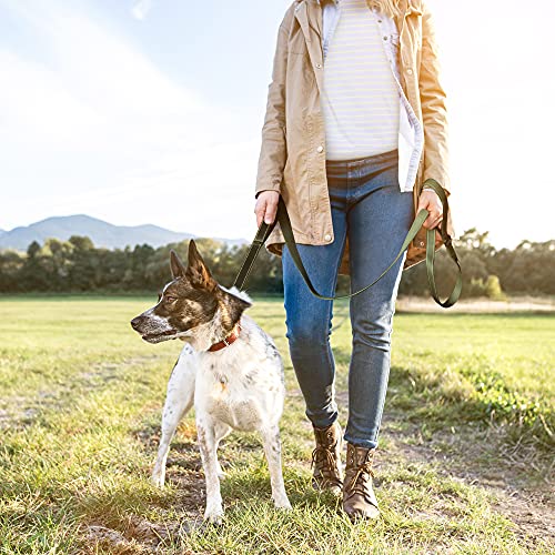 5FT 1IN Heavy Duty Dog Leash for Large Dogs with 2 Padded Handles (Green / 1 in x 5 ft)