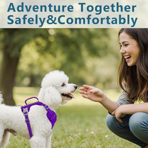 No Pull Dog Harness for Small Sized Dogs (Small(Chest:19.5-26”) / Purple-Oxford)