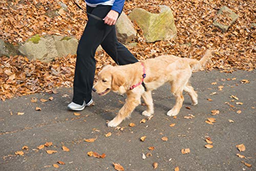 Deluxe Easy Walk No Pull Dog Harness (Small / Rose)