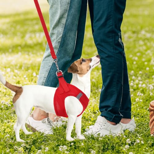 Dog Harness Collar and Leash Set No Pull for Small Medium Sized (Solid Red / M (CHEST 16"-18"))
