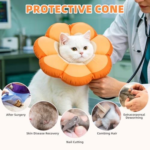 Cat Cone Collar (Orange / M - Neck Up to 10.5")