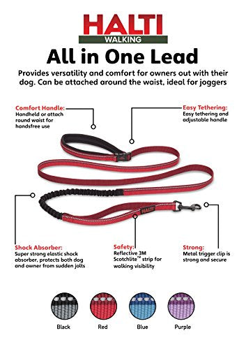 Active Dog Leash (Large / Red)