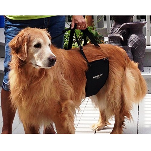 K9 Sling Hind Leg Support (Medium-Large - Unisex)