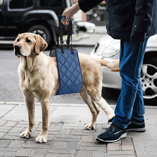 Adjustable Dog Sling Dog Lift Harness for Large Dogs Hind Leg Support (Navy / Large)
