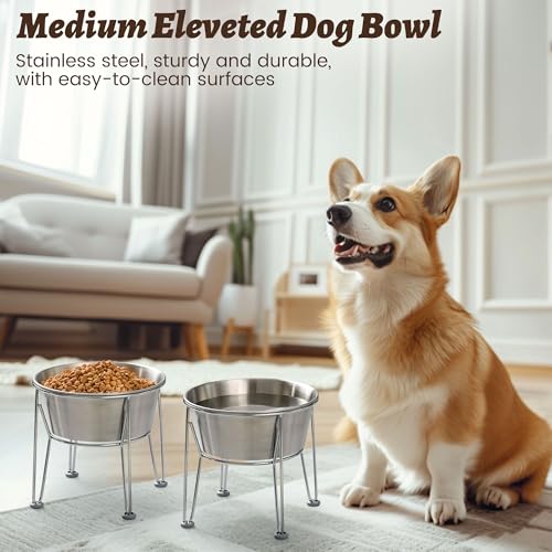 Elevated Dog Bowls for Medium&Small Dogs (6 Cups / Raised Bowl)