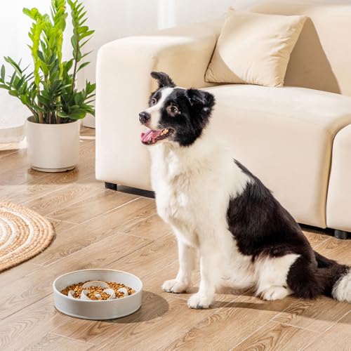 Slow Feeder Dog Bowls (L - 3 Cups / Light Gray)