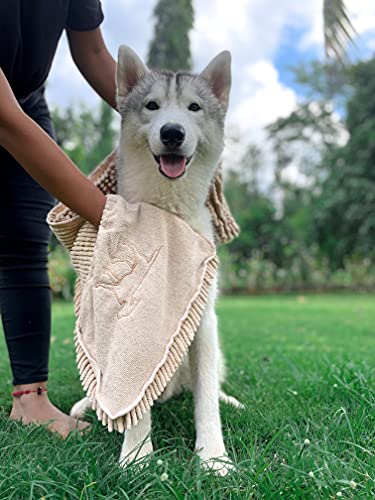 Quick Dry Towel for Dogs (Beige)
