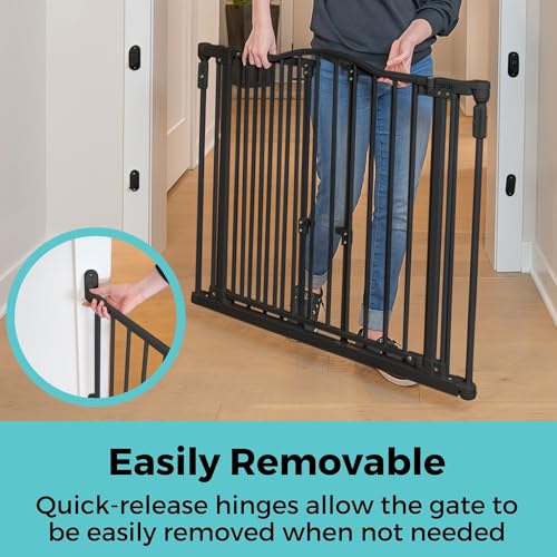 Deluxe Décor Universal Fit Safety Gate (Black / 72" Wide)