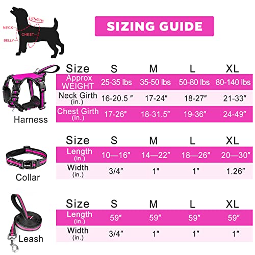 Pet Harness Collar and Leash Set (Large / Rosy)