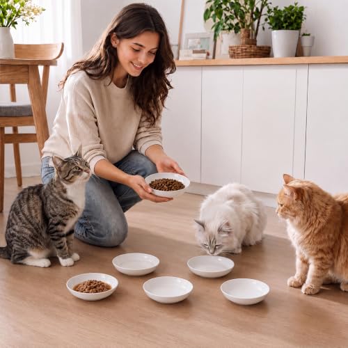 Ceramic Cat Dishes for Food (White)