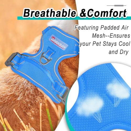 Dog Harness for Small Sized Dog No Pull Mesh 2 Clips Dog Vest (X-Small / Blue-Mesh)