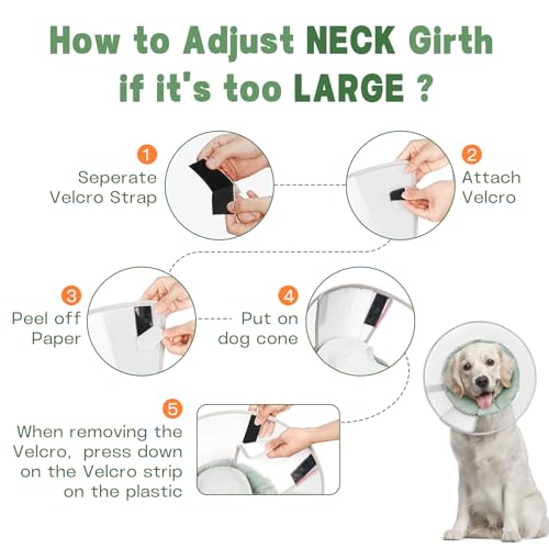 Dog Cone Collar with Soft Liner to Stop Licking (Green / 2XL(Depth: 12.2, Girth: 19-22))