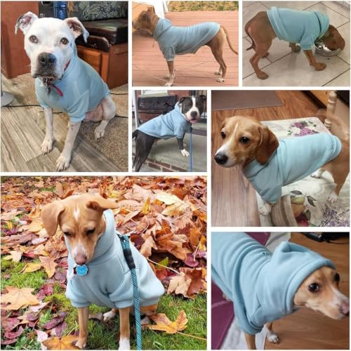 Dog Hoodie for Large Dogs (#2 Blue(Plain) / Large (All Breed Sizes))