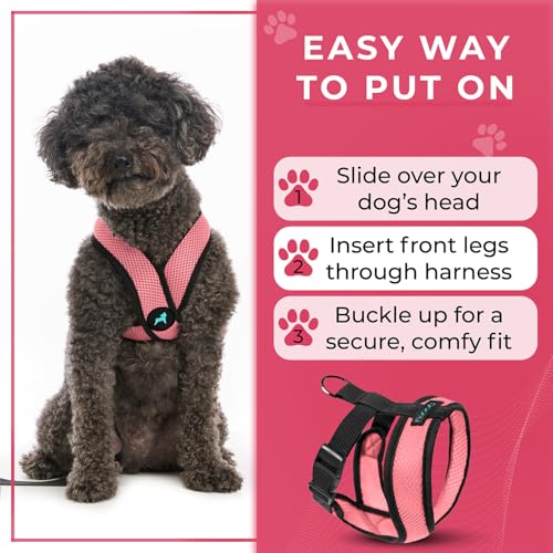 Comfort X Head (Medium Chest (14.25-18.75") / Pink)