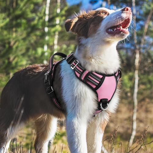 Dog Harness Medium Sized (Light Pink / Medium)