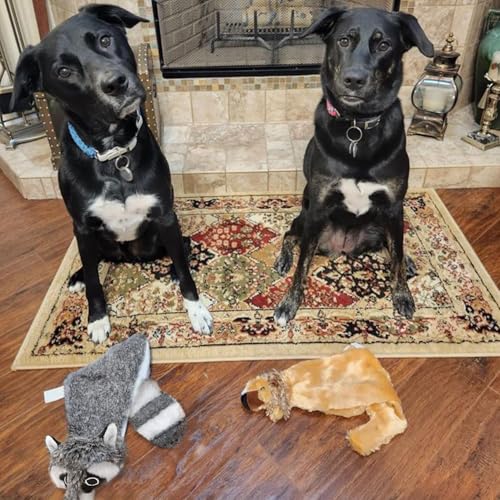 2-in-1 Stuffless Squeaky Dog Toy - Fox, Raccoon, Large (Multicolor/Raccoon & Fox / Large)