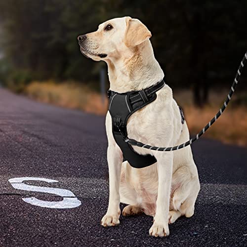 No Pull Dog Harness for Medium Dogs (Black / Medium)